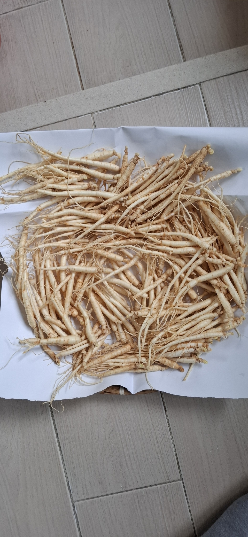 금산 인삼 수삼 세척 실실이(500g/150~180뿌리/5~6년근) 이미지 2