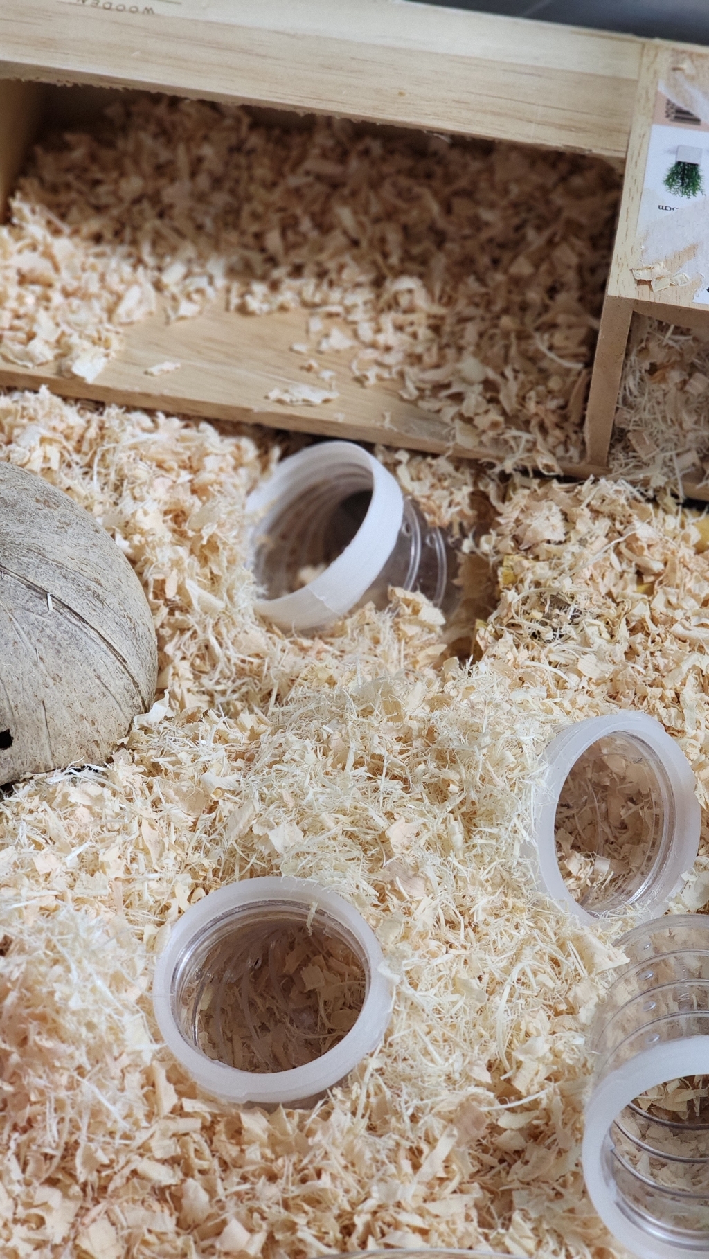 햄스타일 햄스터 목욕실 파인 베딩샌드 사과향 이미지 4