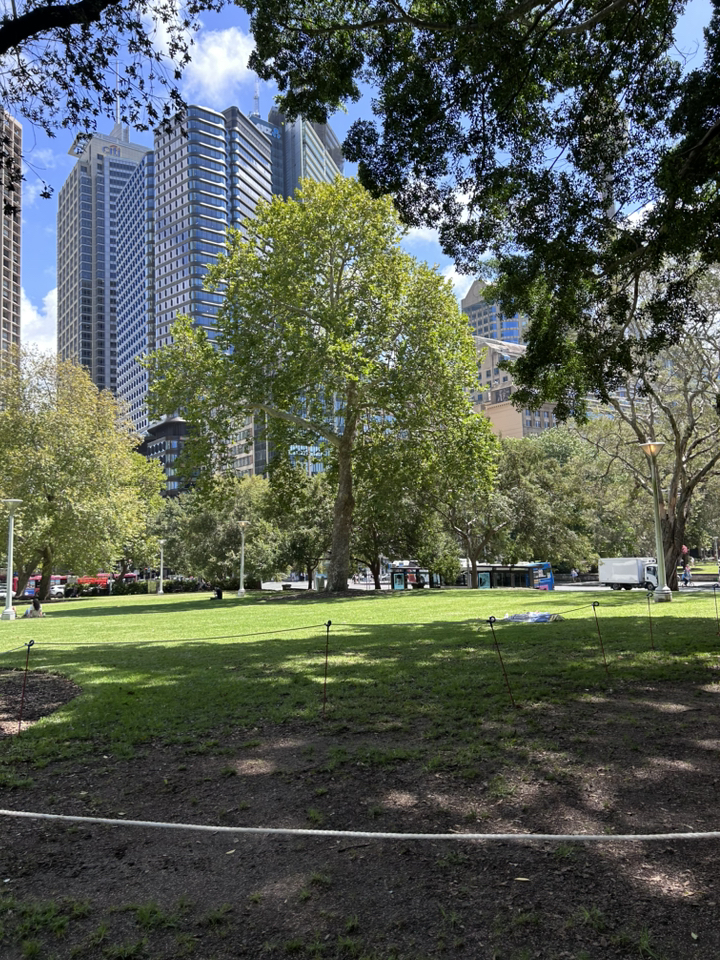 호주 뉴질랜드 eSIM 데이터 무제한 유심 로밍 이심 링심 이미지 4