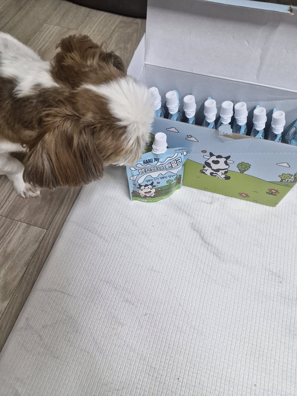리뷰 이미지
