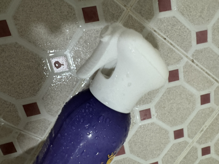 HAMIL 강아지 왕관샴푸 솔직 후기 | 실제 사용자 리뷰 총정리 - 상품 이미지 3