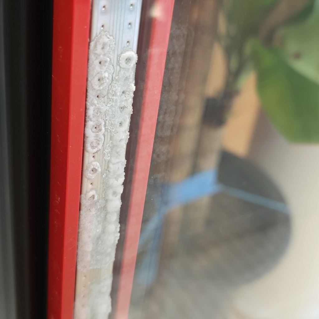 소상공인지원 음료수 냉장고 FT-470AR 올레드 주류 냉장 업소용 음료... 개봉기 | 실사용 후기 - 상품 이미지 4