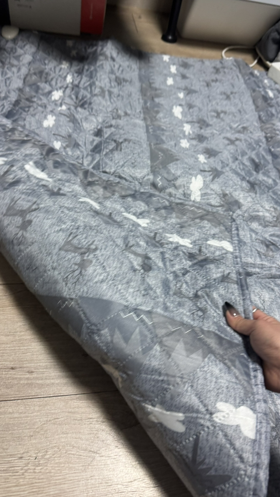 HanilMedical 고급전기요 루돌프 EPH-201D 이미지 2