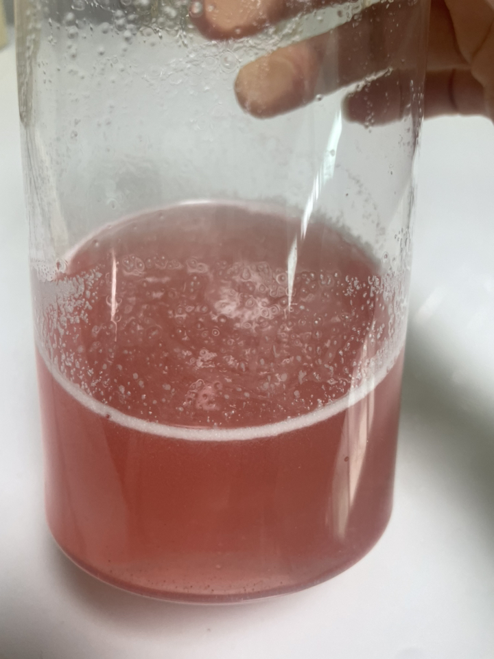 뉴트리코스트 BCAA 파우더 수박향 553g, 1개 솔직 후기 | 실사용자 리뷰 분석 - 상품 이미지 1