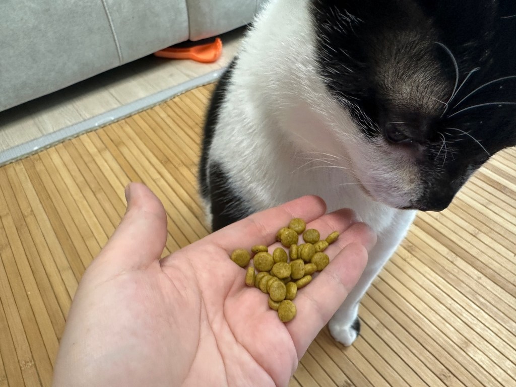 밥이보약 전연령 고양이 기능성 사료 이미지 3