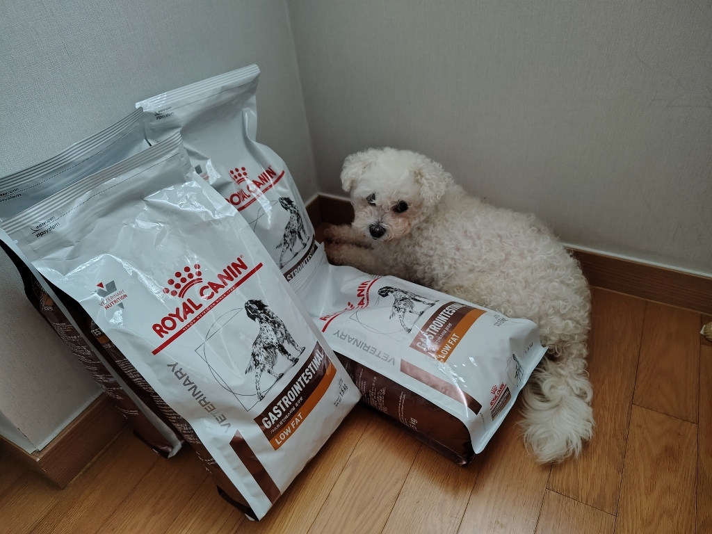 [로얄캐닌] 독 가스트로인테스티널 로우팻 1.5kg 이미지 4