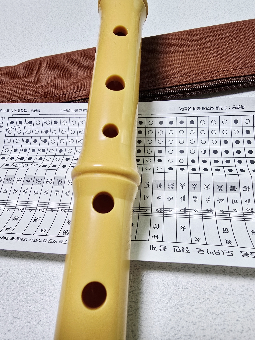 영창뮤직 소금 국악기 YSG-SG 솔직 후기 | 취미생활 필수템 - 상품 이미지 4