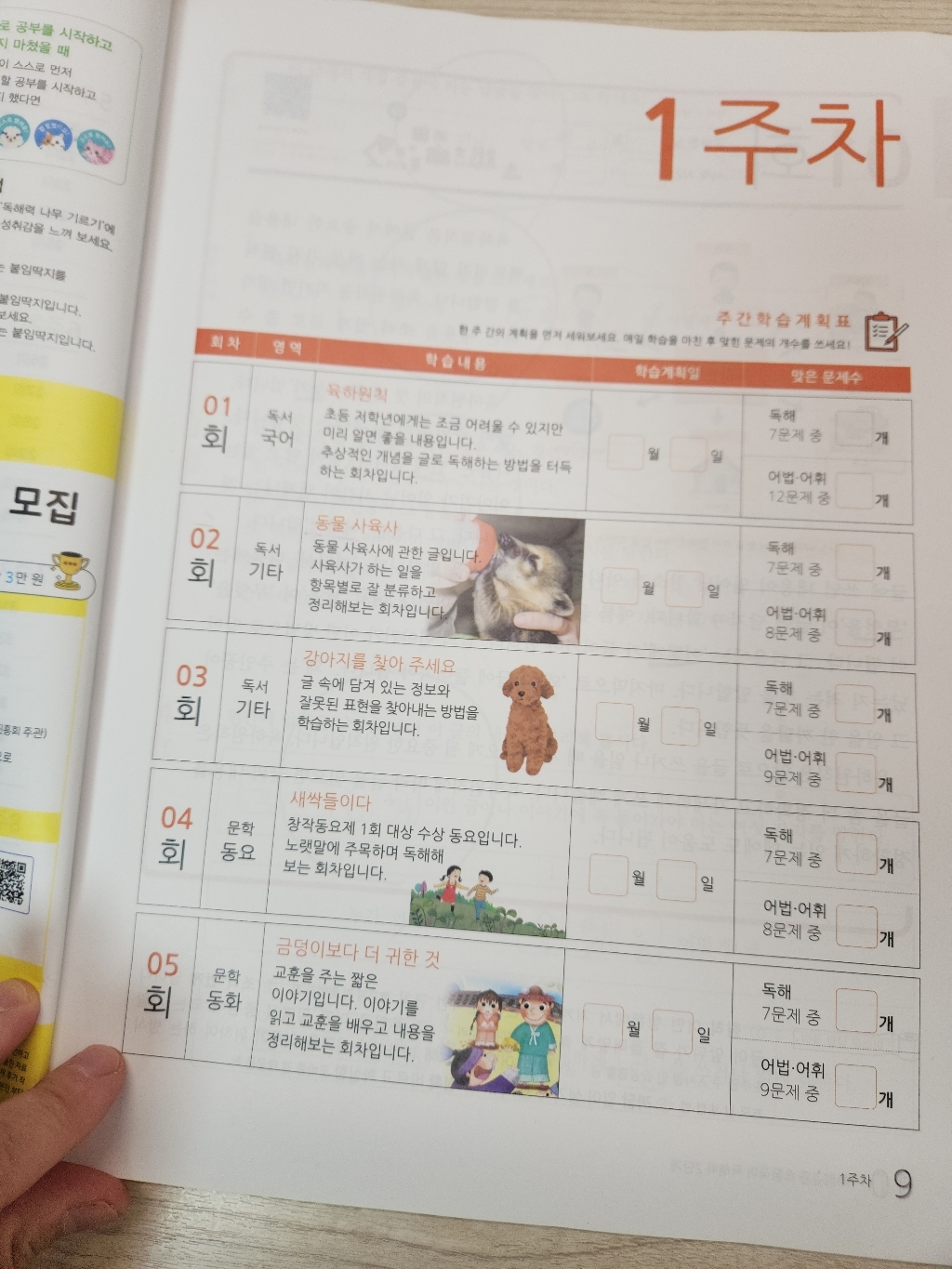 뿌리깊은 초등국어 독해력 기본편 이미지 4