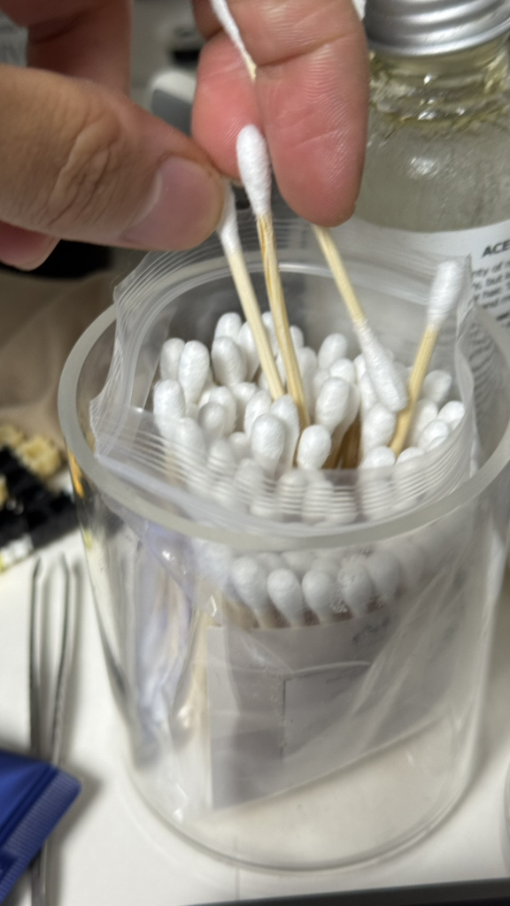 그린내일 대나무 면봉 이미지 3