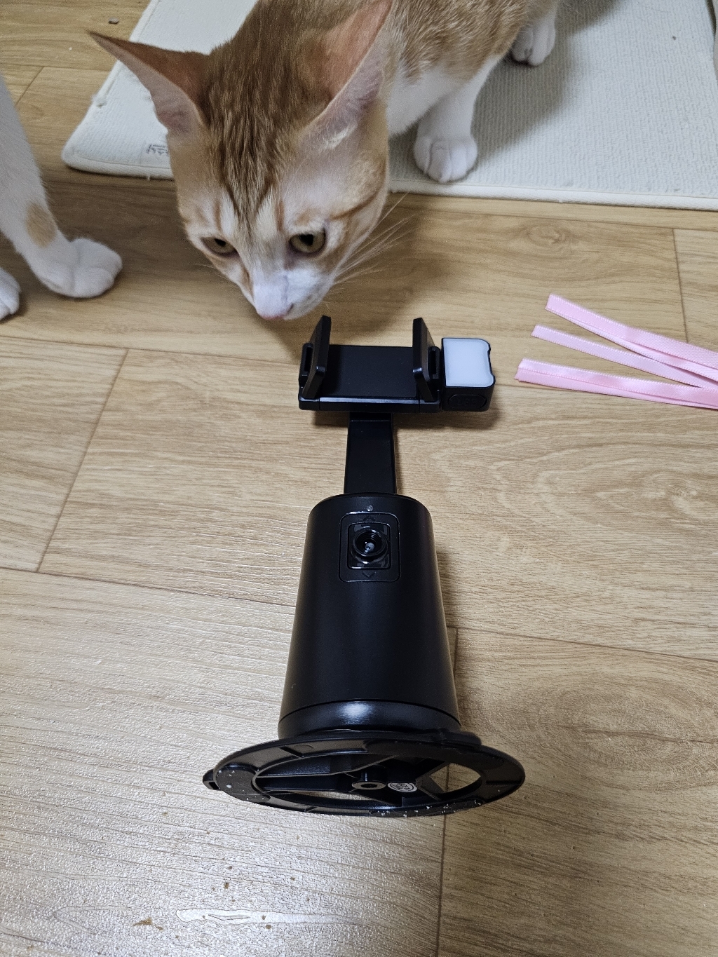 실사용 리뷰 이미지 1