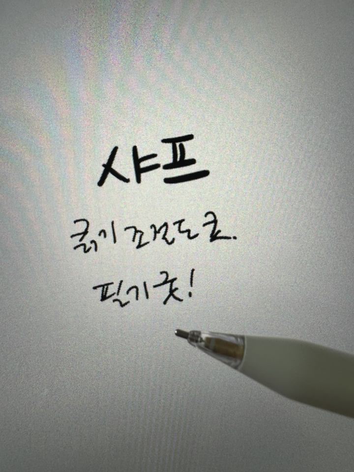 아이패드 애플펜슬 펜촉 1/2/3세대 프로 USB-C타입 호환 펜촉 세트 케이스나라 이미지 4