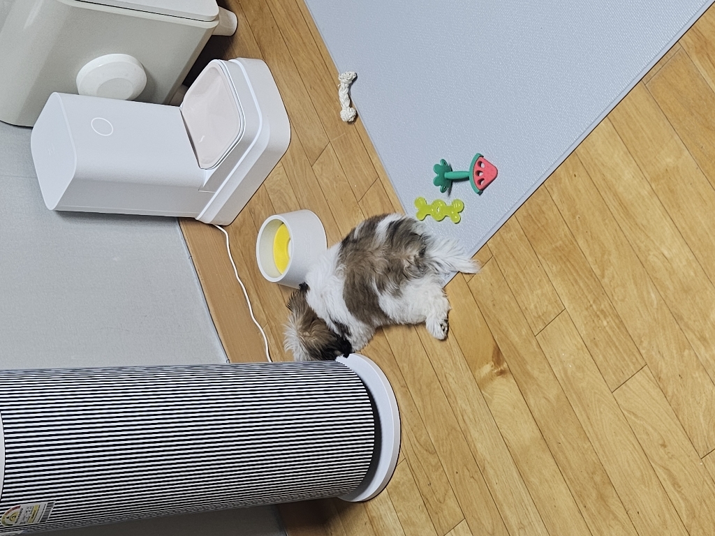 리뷰 이미지