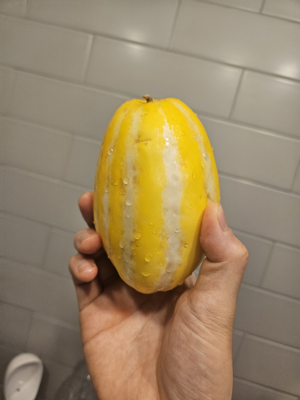 성주 당도선별 참외, 1.2kg(4~5입), 1봉