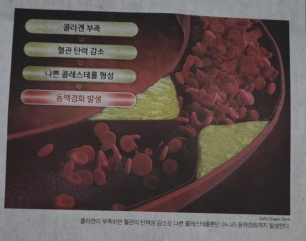 에버콜라겐 타임비오틴 셀 90g, 2개 솔직 후기 | 실사용자 리뷰 분석 썸네일