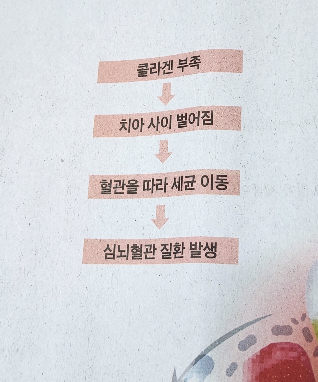 에버콜라겐 타임비오틴 셀 90g, 1개 솔직 후기 | 실사용자 리뷰 분석 - 상품 이미지 1