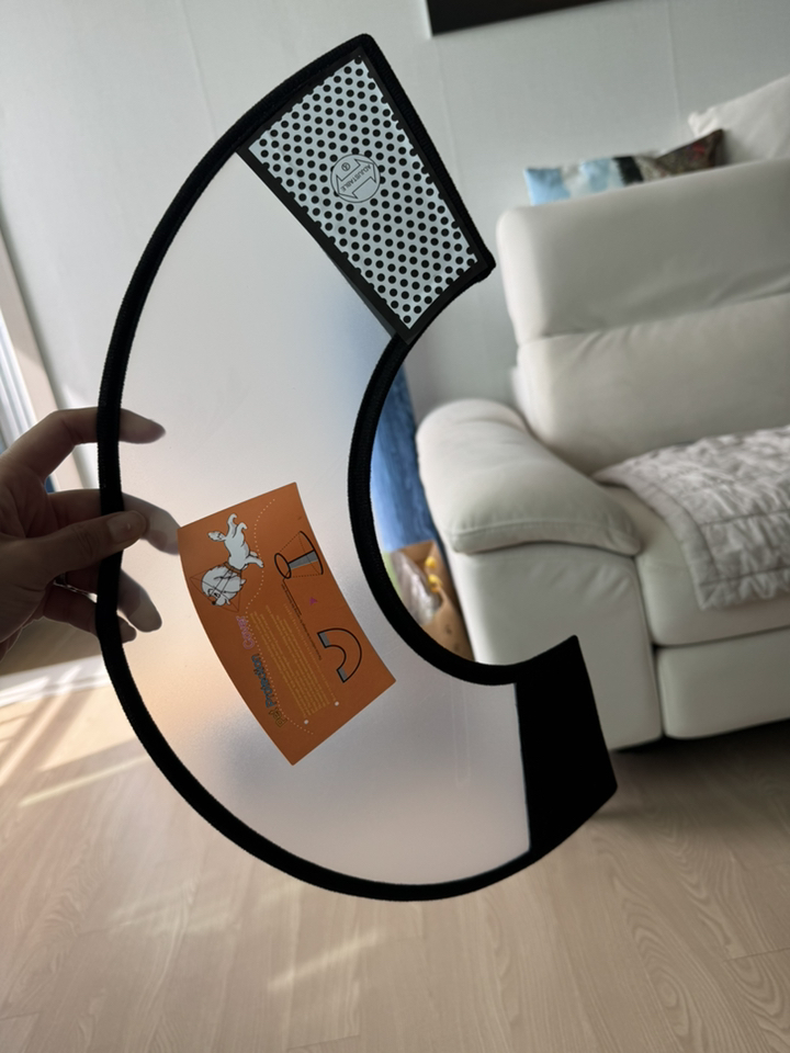 위드앤미 강아지 고양이 넥카라 중성화 보호 깔대기 솔직 후기 | 실제 사용자 리뷰 총정리 - 상품 이미지 4