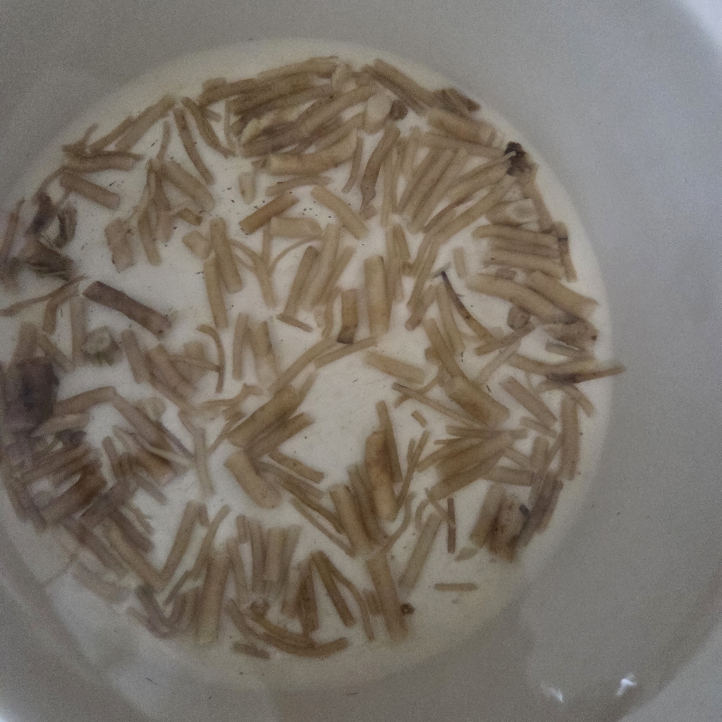 한방선생 우슬 150g, 1개 맛있게 먹은 솔직 후기 - 상품 이미지 2