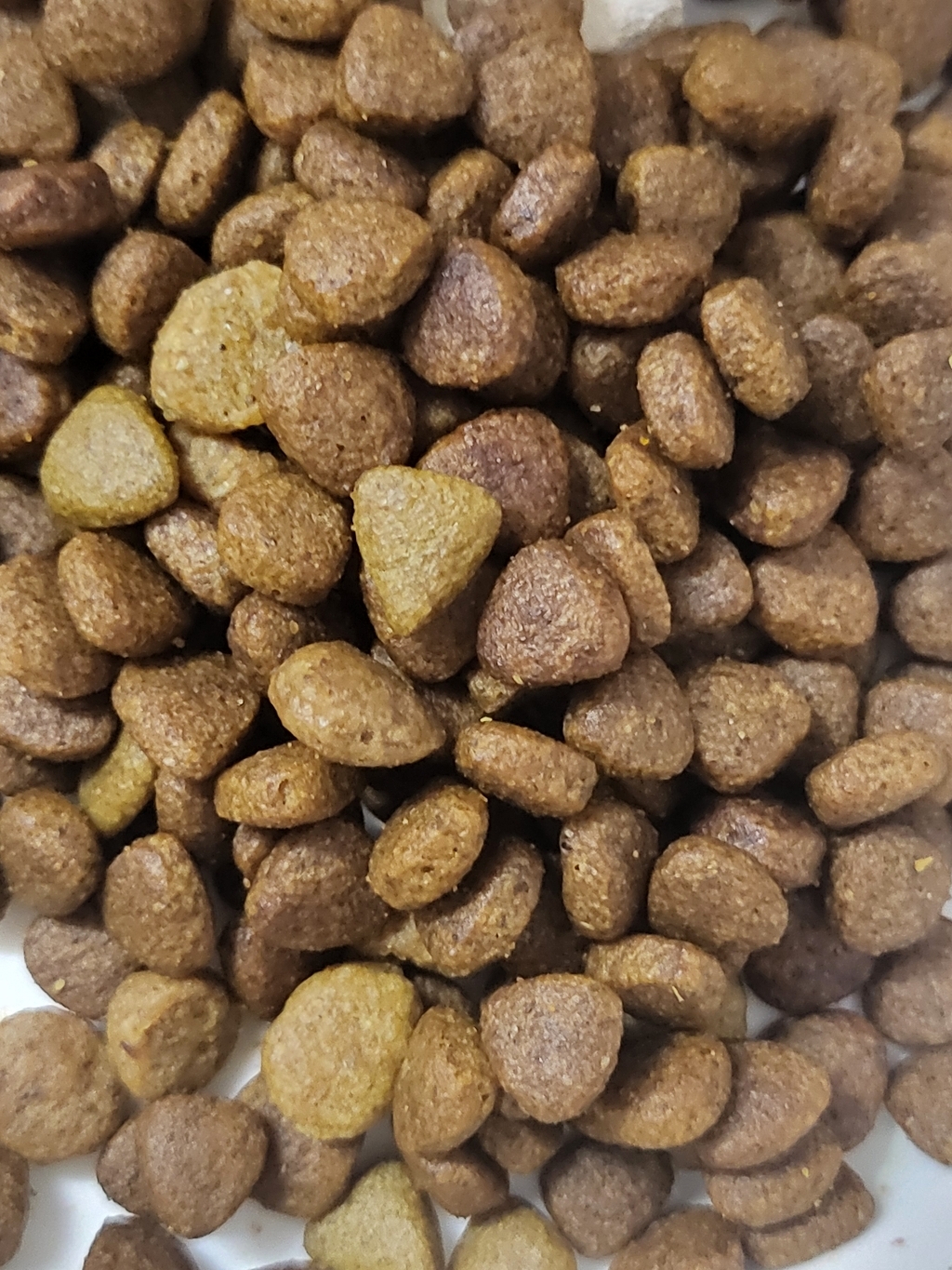 [바로도착] 네추럴코어 강아지사료 치킨&연어 7kg 개별포장 이미지 4