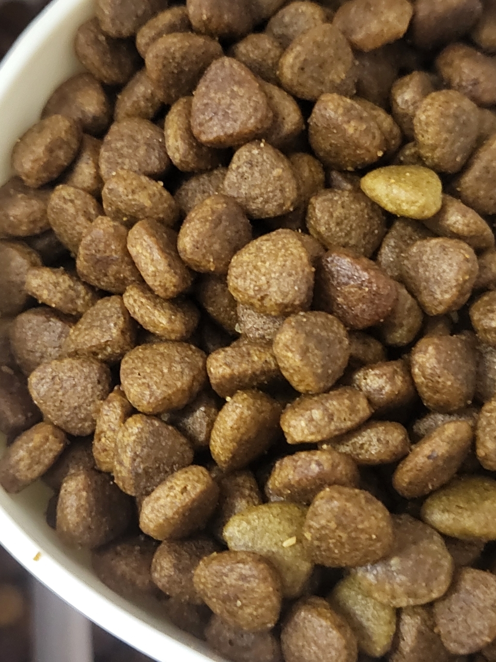 [바로도착] 네추럴코어 강아지사료 치킨&연어 7kg 개별포장 이미지 3