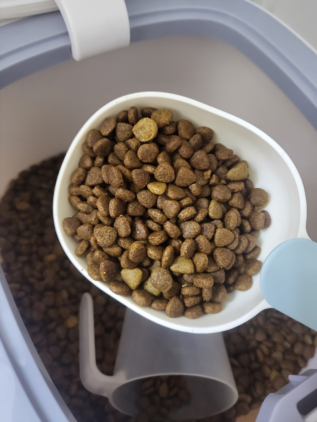 [바로도착] 네추럴코어 강아지사료 치킨&연어 7kg 개별포장 솔직 후기 | 실제 사용자 리뷰 총정리 - 상품 이미지 2