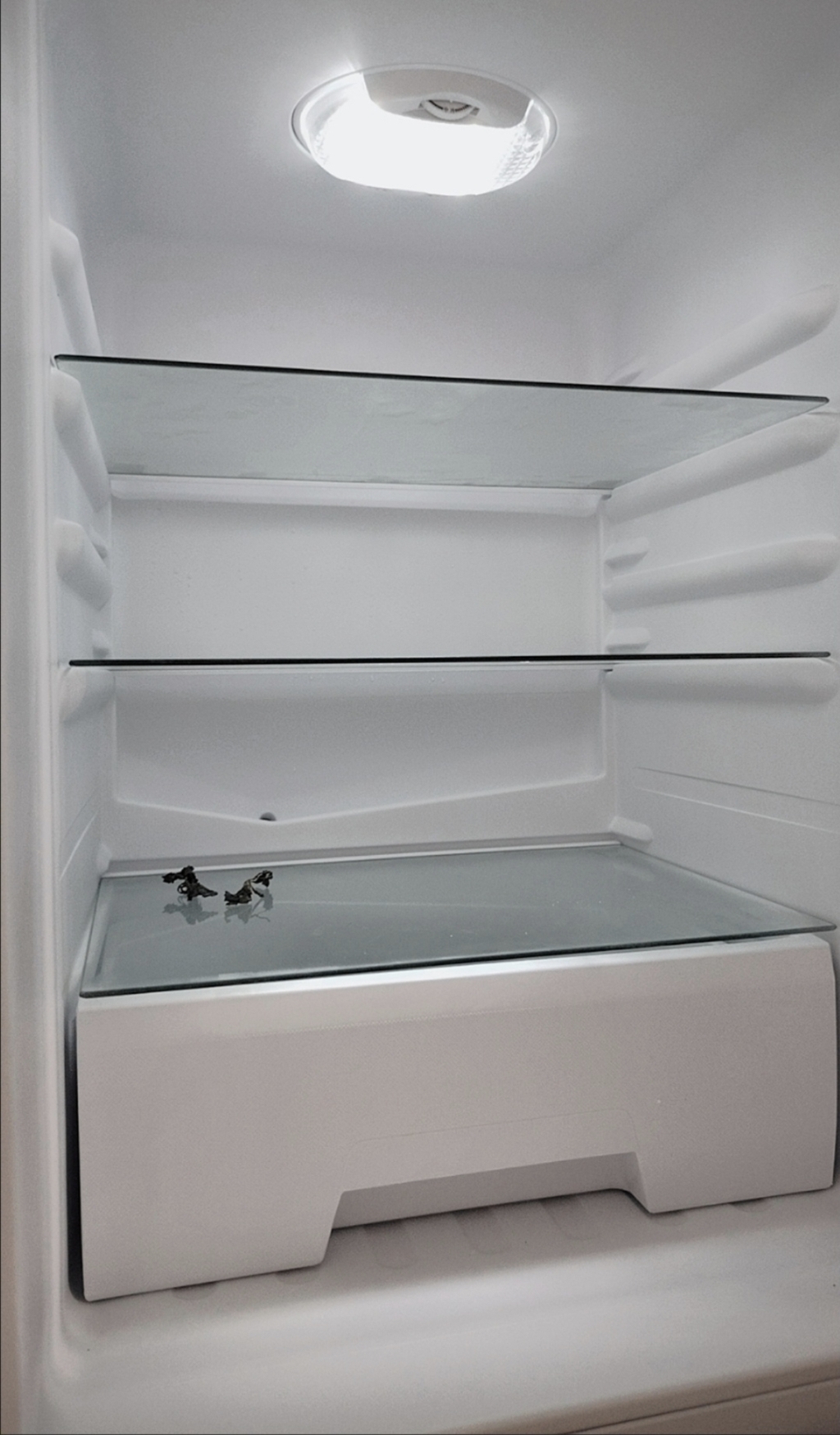 루메프 로드골드 럭셔리 김치냉장고 대형 대용량 스탠드형 3도어 가정용 프... 개봉기 | 실사용 후기 - 상품 이미지 4