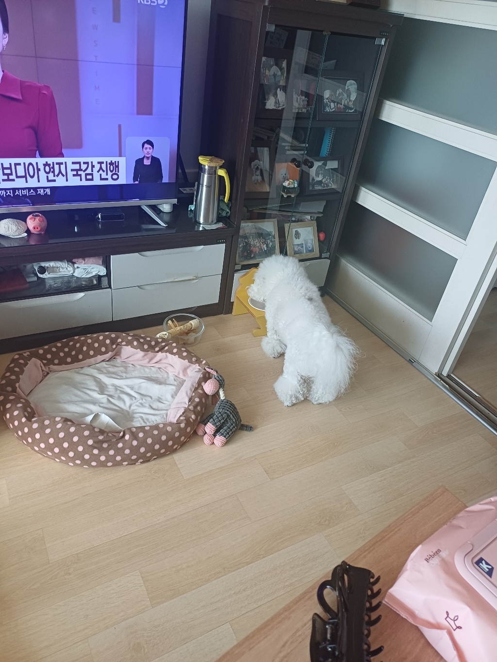 힐스 프리스크립션 다이어트 강아지 wd w/d 멀티 베네핏 3.85kg 솔직 후기 | 실제 사용자 리뷰 총정리 - 상품 이미지 2