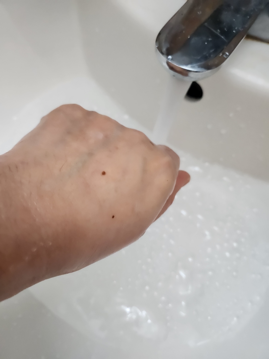 프리메이 피지 98%개선 임상 햇쌀 데일리 약산성 클렌징 폼 이미지 4