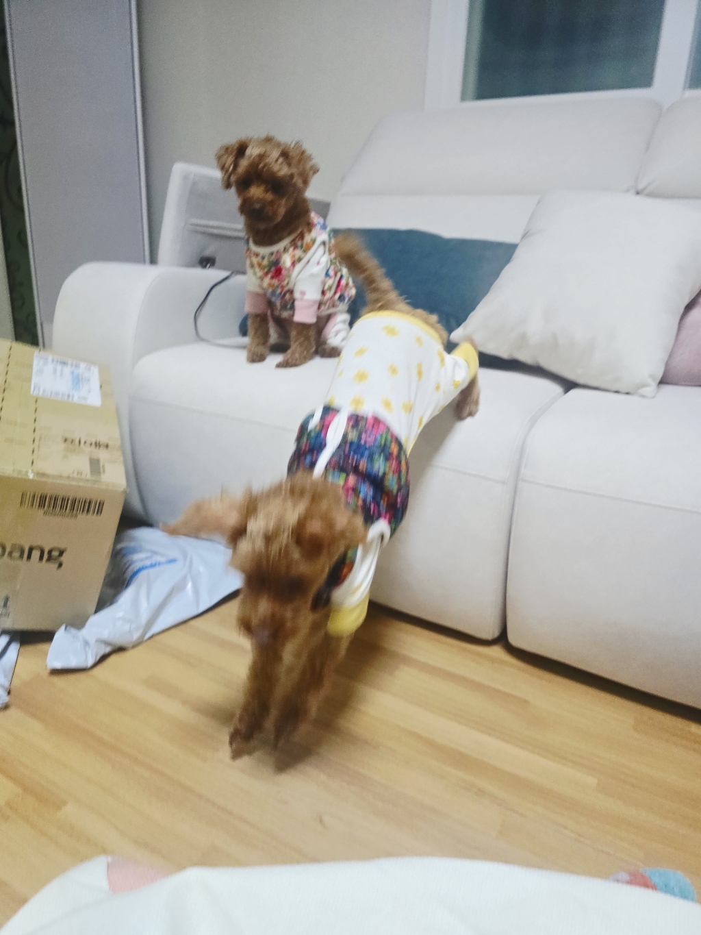 리뷰 이미지