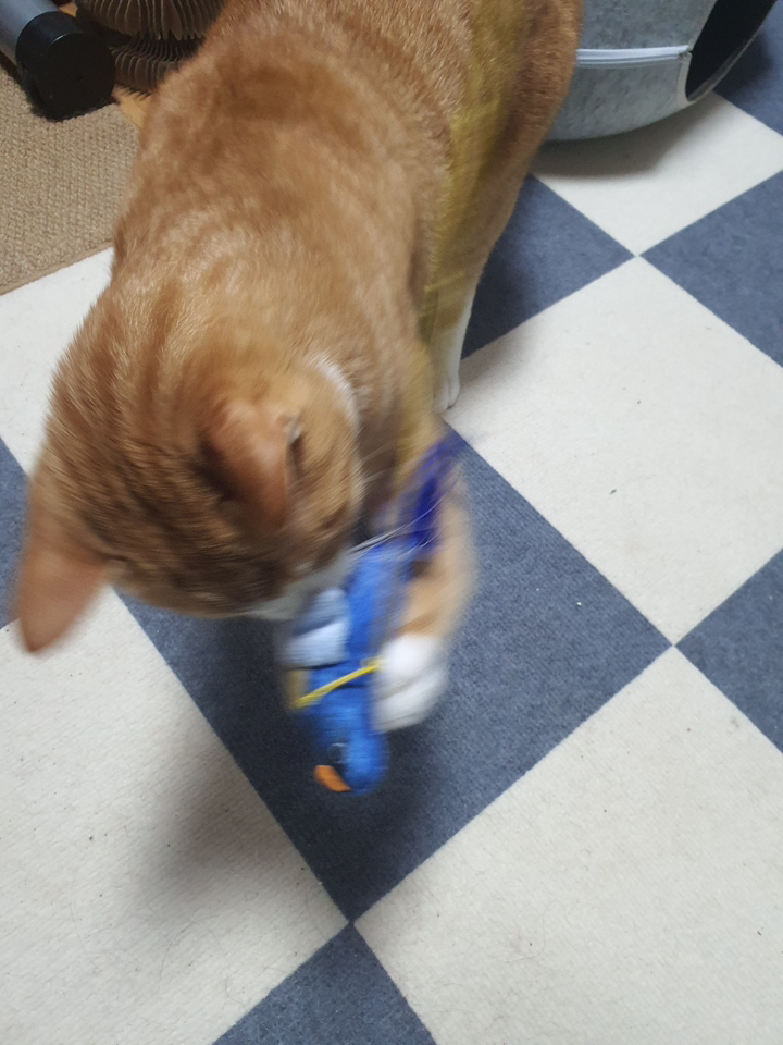 츄르몽 소리가 나는 사냥 놀이 고양이 새 장난감 솔직 후기 | 실사용자 리뷰 분석 - 상품 이미지 4