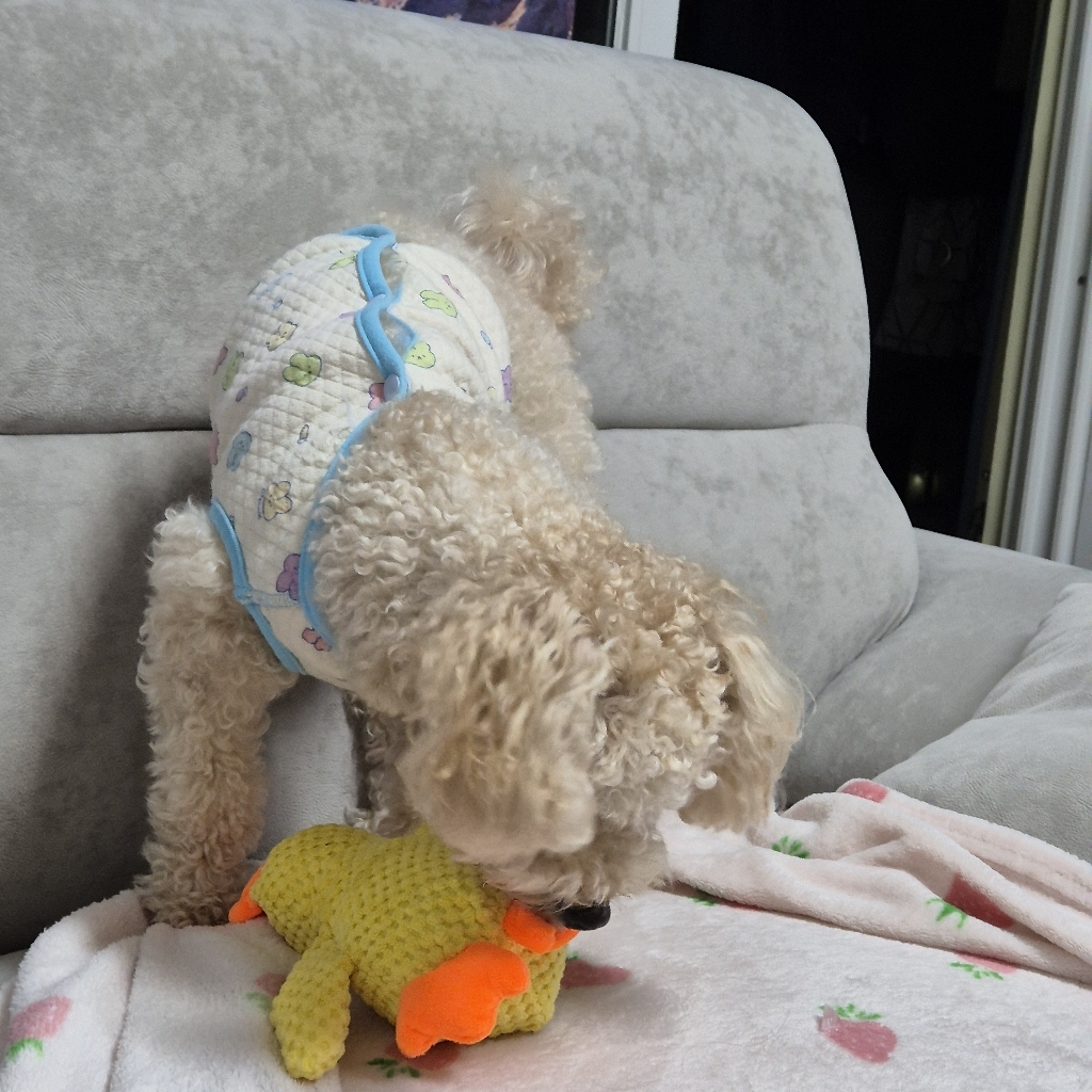 애견 삐삐 동물 인형 장난감 솔직 후기 | 실사용자 리뷰 분석 - 상품 이미지 3