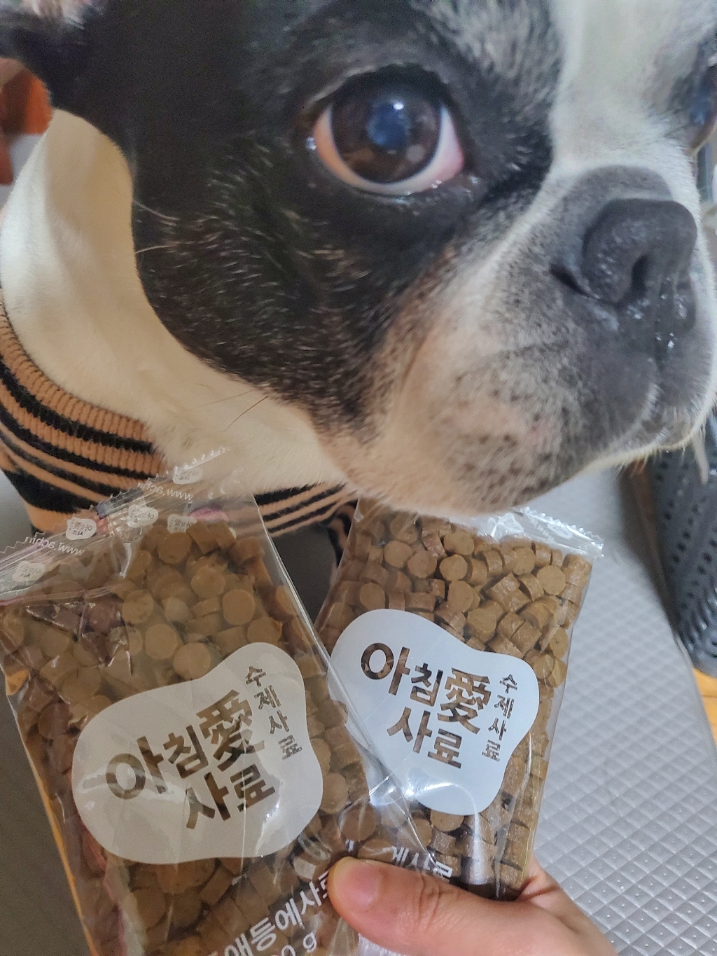 리뷰 이미지