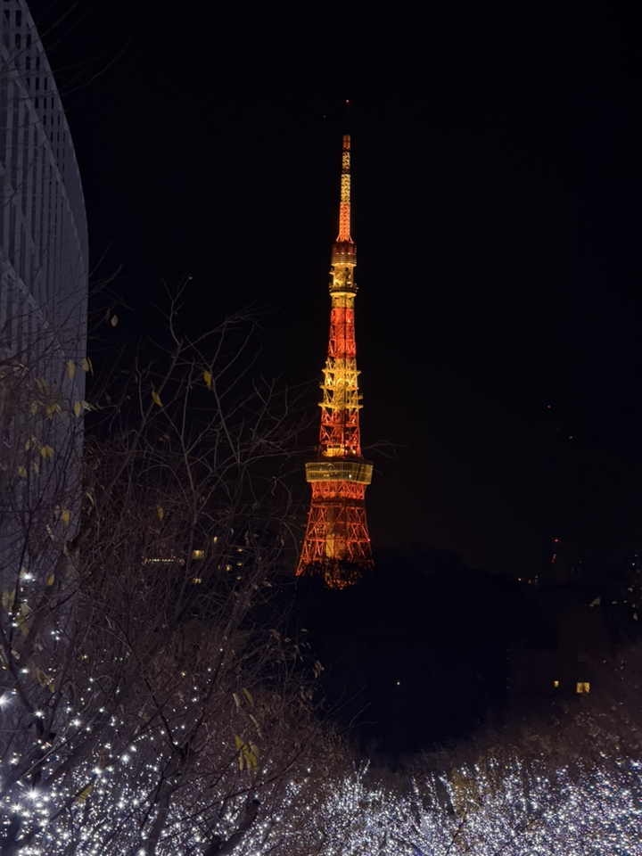 링심 일본이심 5G속도 매일 데이터 무제한 eSIM 이미지 2