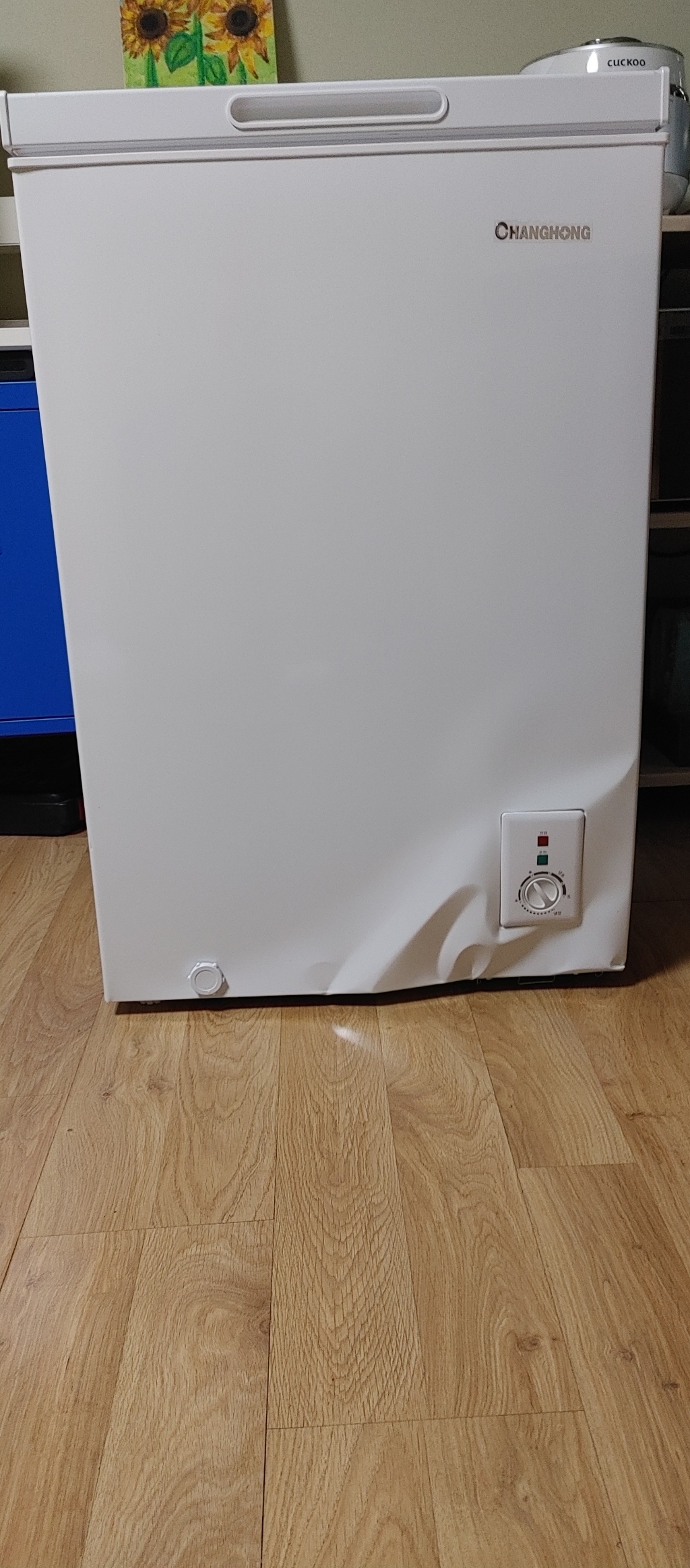 창홍 냉동고 99L 이미지 4