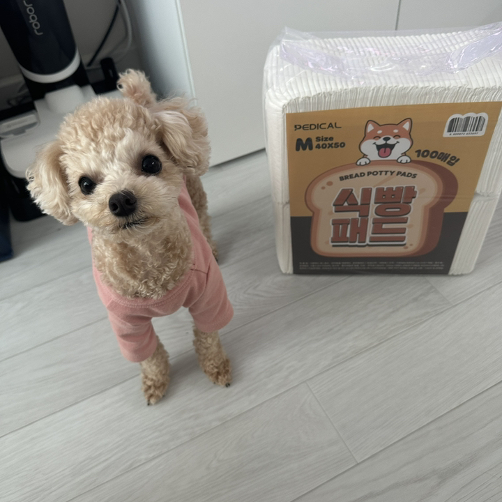 식빵패드 강아지 가성비 배변패드 (중형) 솔직 후기 | 실사용자 리뷰 분석 - 상품 이미지 2