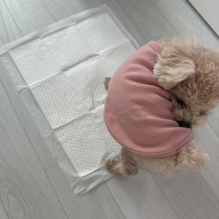 식빵패드 강아지 가성비 배변패드 (중형) 솔직 후기 | 실사용자 리뷰 분석 - 상품 이미지 4