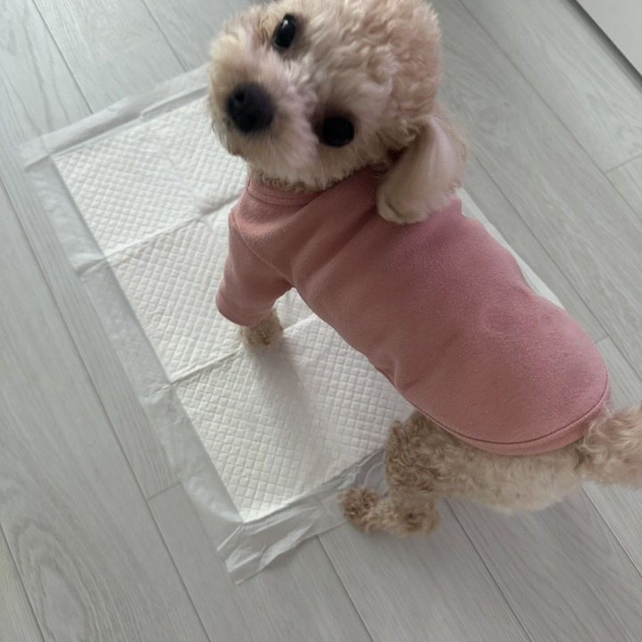 식빵패드 강아지 가성비 배변패드 (중형) 이미지 3