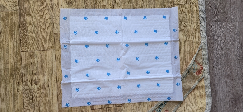 자존심 애견 배변패드 흰색 이미지 4