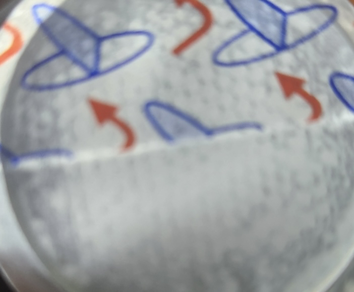 아르기닌 60000 국산 L-아르기닌 블랙마카 흑후추 식약청인증 HACCP 1000mg 120정, 1개 이미지 3