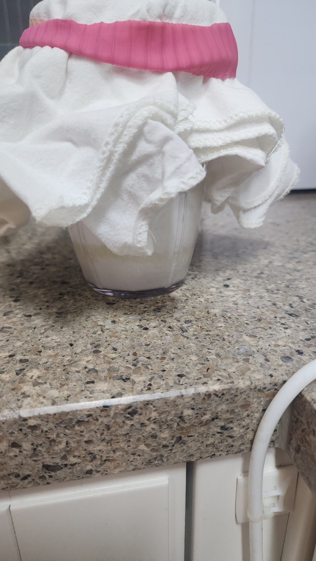 곰탱이네 티벳버섯 유산균 배양종 케피어 10g, 1개 솔직 후기 | 실사용자 리뷰 분석 - 상품 이미지 4
