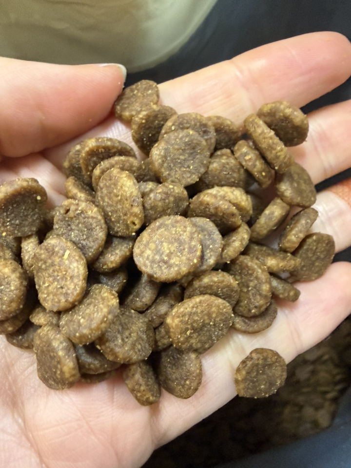 아카나 어덜트 스몰브리드 2kg 당일발송 솔직 후기 | 실제 사용자 리뷰 총정리 - 상품 이미지 2