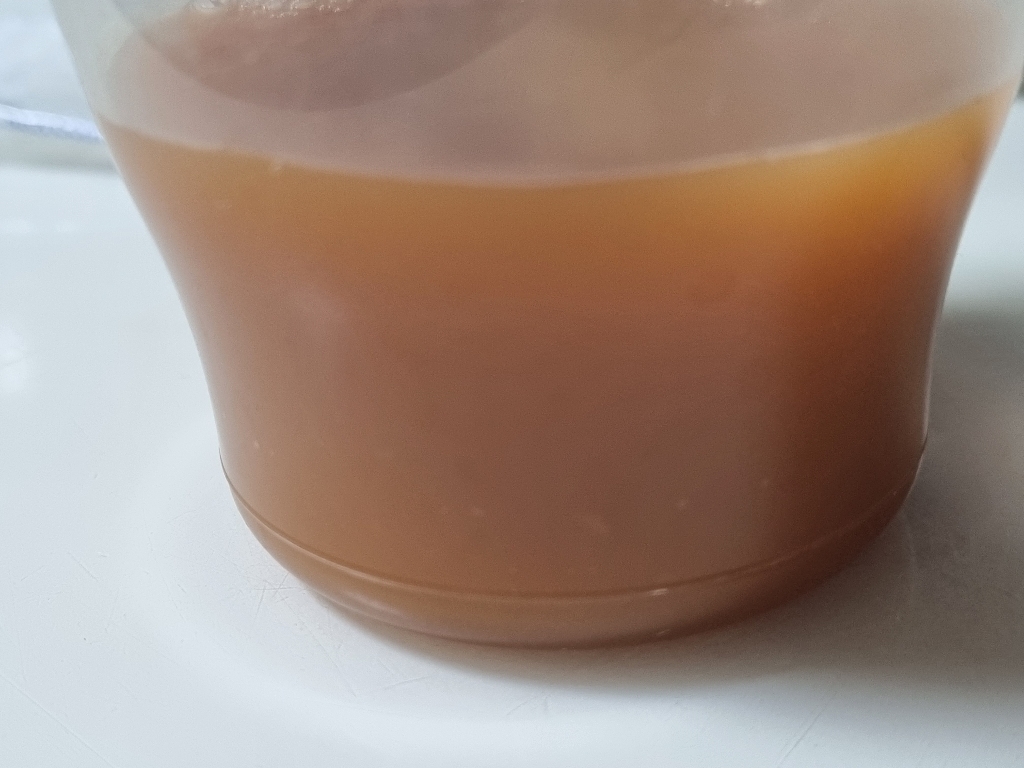 일품자연 착즙 NFC 당근즙 100ML 냉장보관 실사용 후기 | 효과 있을까? - 상품 이미지 4