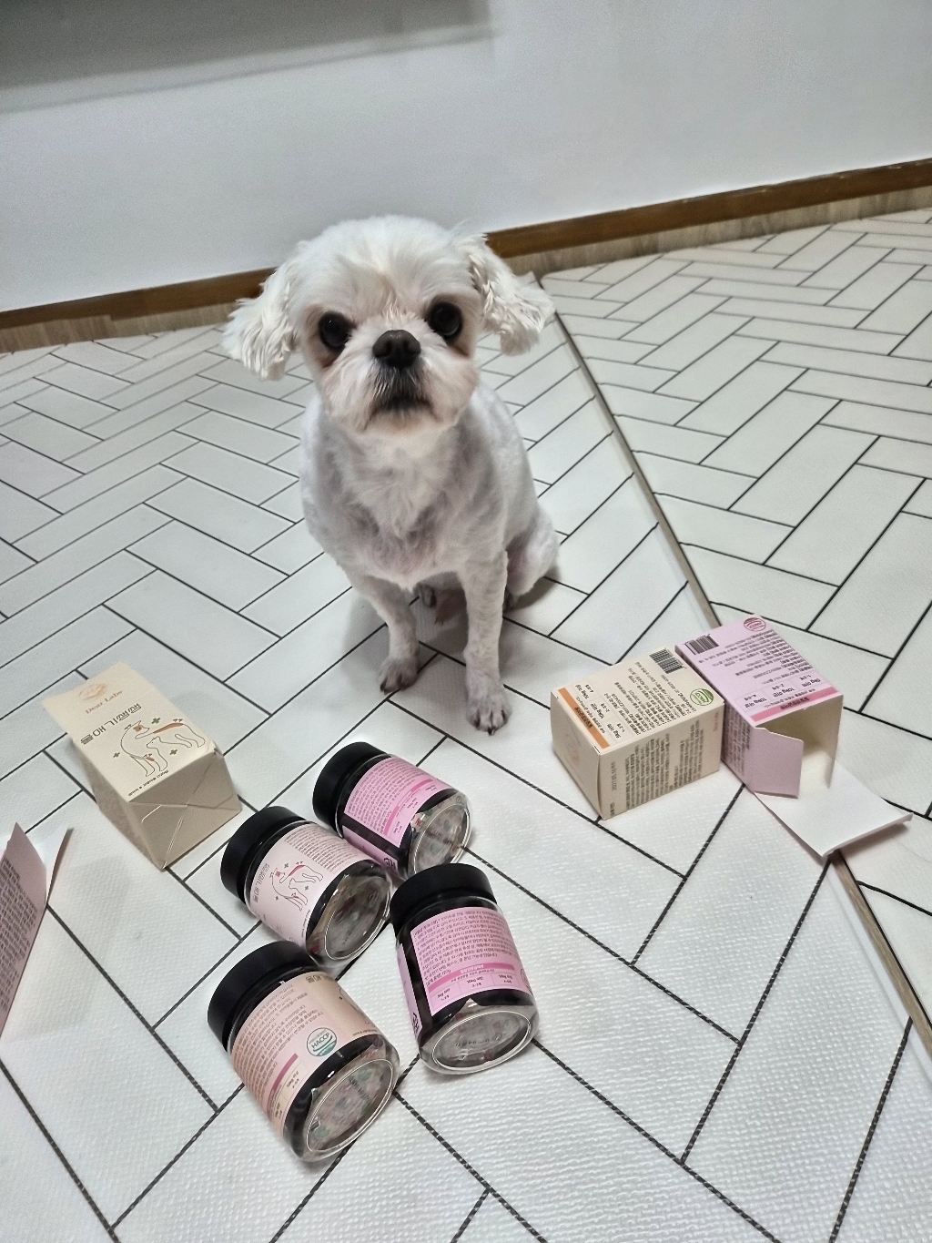 울애기쌩쌩 세트 (울애기쌩쌩 + 이너플러스) 솔직 후기 | 실제 사용자 리뷰 총정리 - 상품 이미지 4