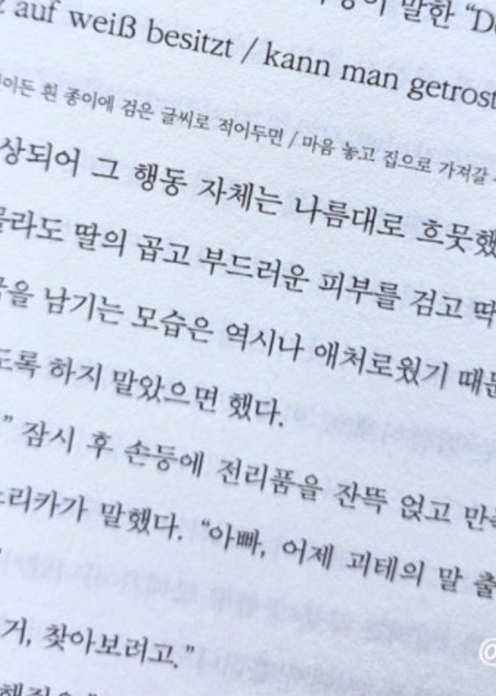 괴테는 모든 것을 말했다:2025년 아쿠타가와상 수상작 이미지 3