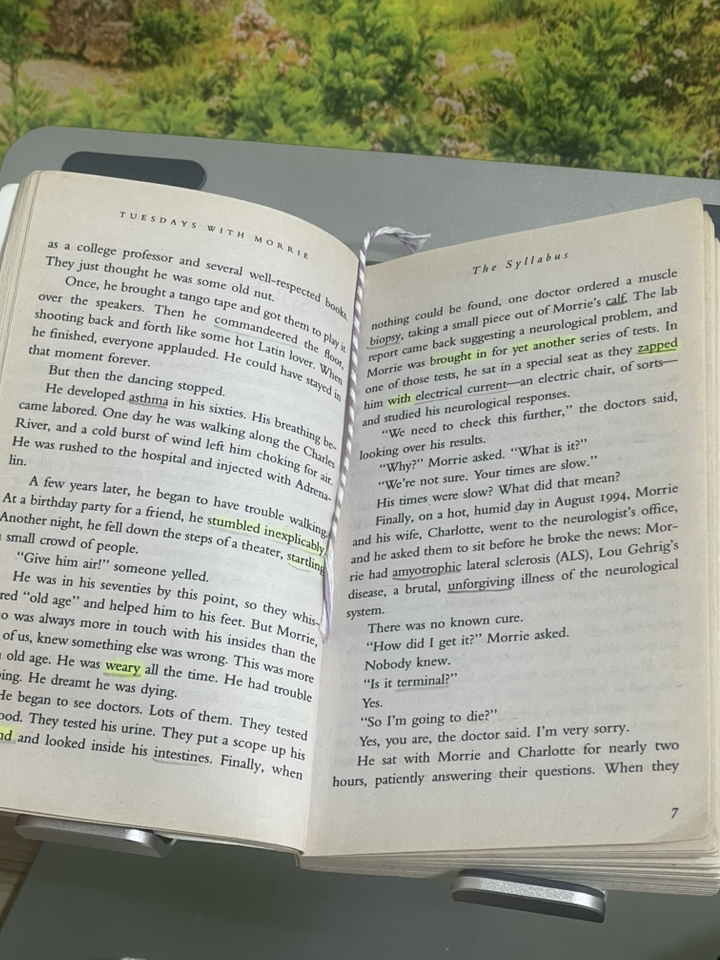 Tuesdays with Morrie:an Old Man a Young Man and Life's Greatest Lesson 이미지 4