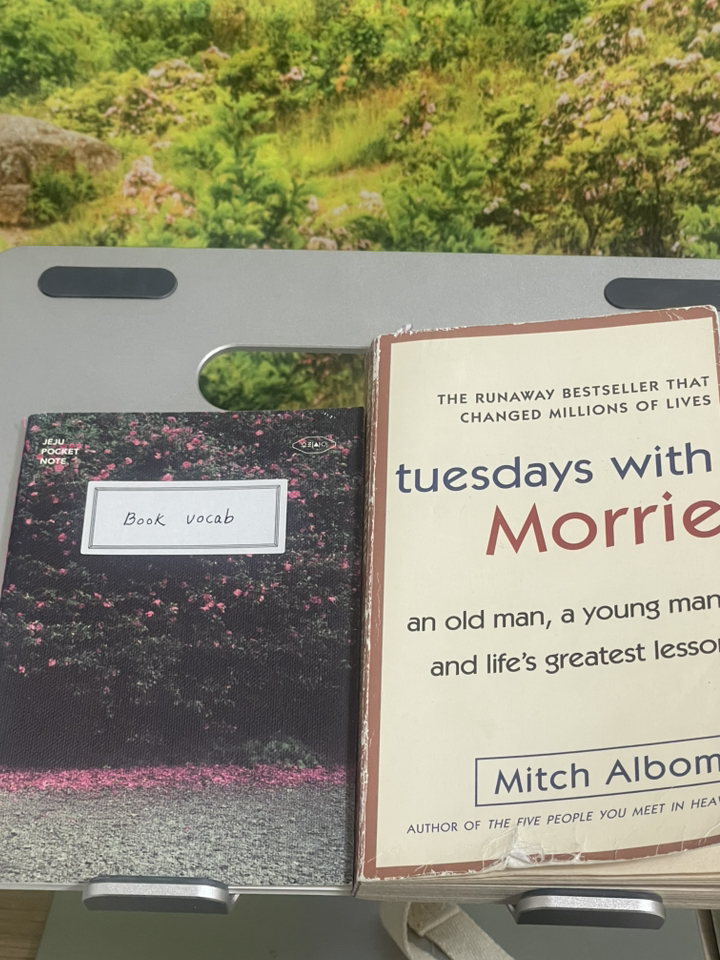Tuesdays with Morrie:an Old Man a Young Man and Life's Greatest Lesson 이미지 3