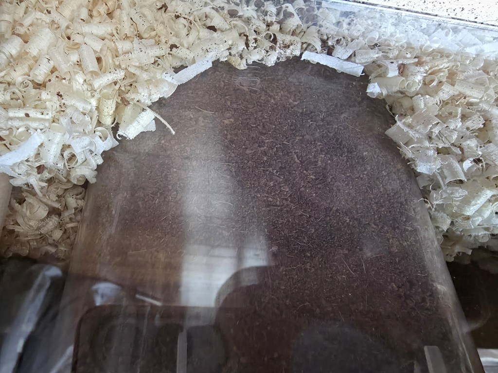 브라더팜 반려동물 코코피트 솔직 후기 | 실제 사용자 리뷰 총정리 - 상품 이미지 3