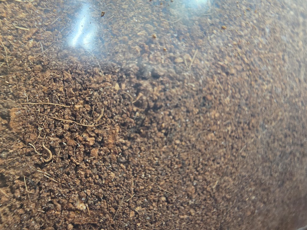 브라더팜 반려동물 코코피트 이미지 4