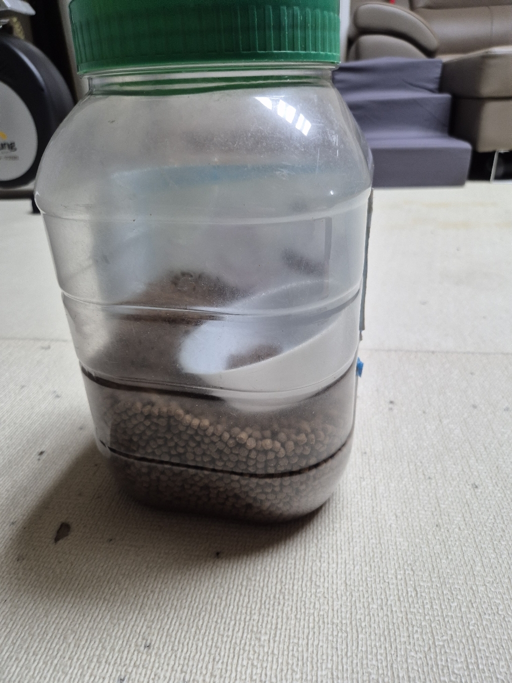 도그라인 아지피아 건식사료 솔직 후기 | 실제 사용자 리뷰 총정리 - 상품 이미지 4