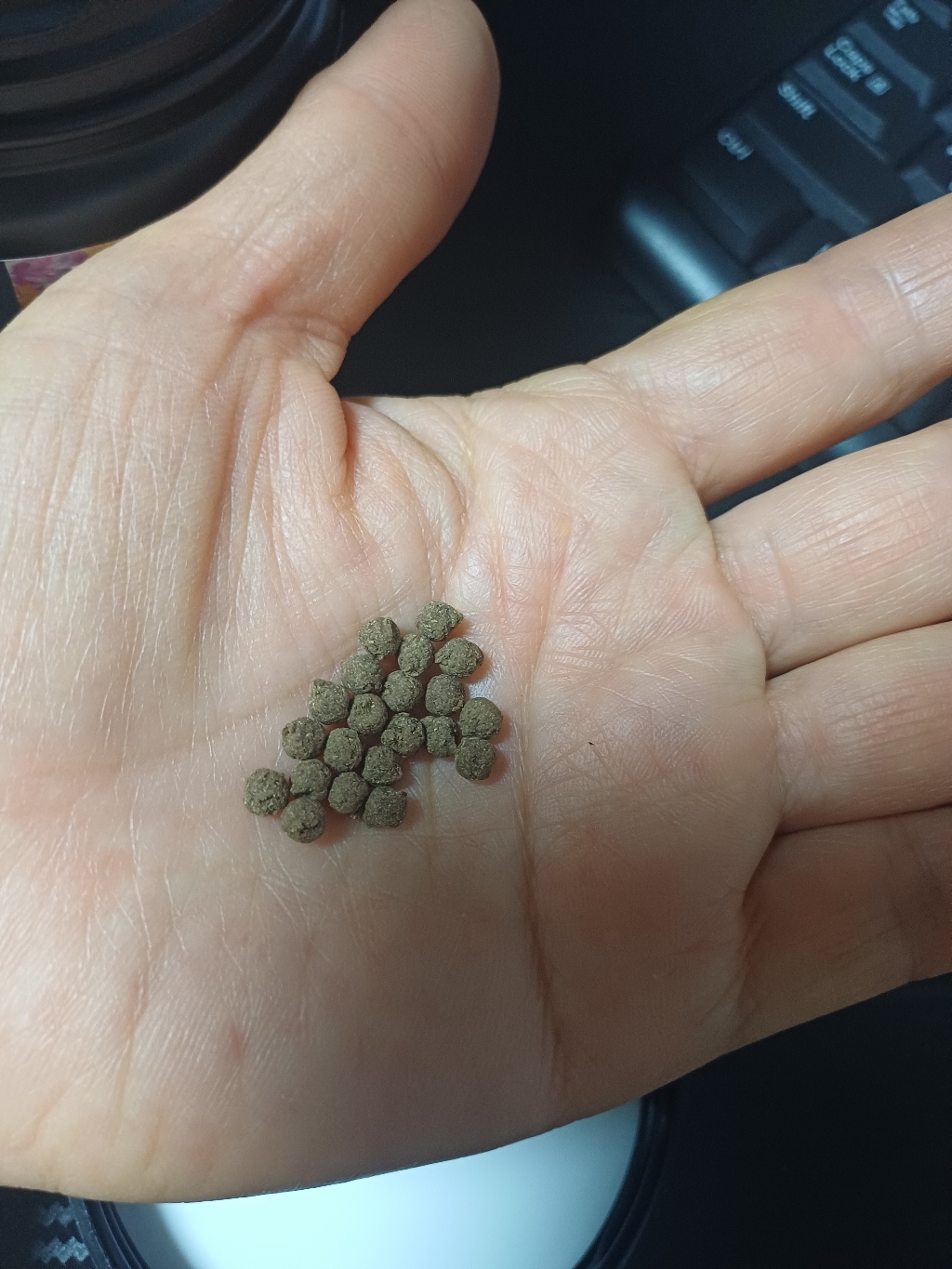 조은약초 당귀 천궁 작약 숙지황 환 300g, 1개 이미지 2