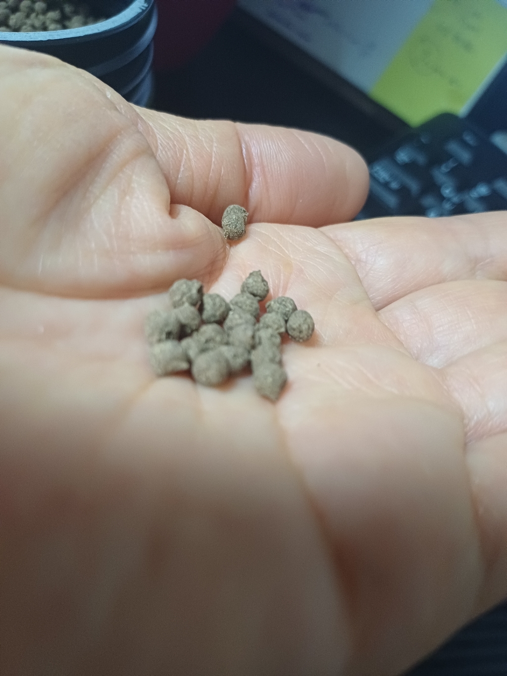 조은약초 당귀 천궁 작약 숙지황 환 300g, 1개 실사용 후기 | 효과 있을까? - 상품 이미지 4